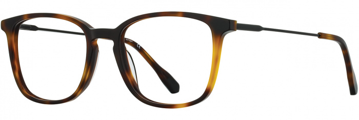 Tortoise/Black
