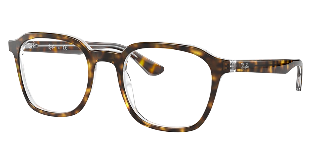 HAVANA ON TRANSPARENT
