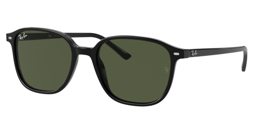 Ray-Ban RB2193 LEONARD round sunglasses in Black/G 15 Green