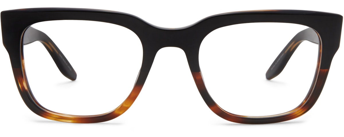 Raven Tortoise Gradient