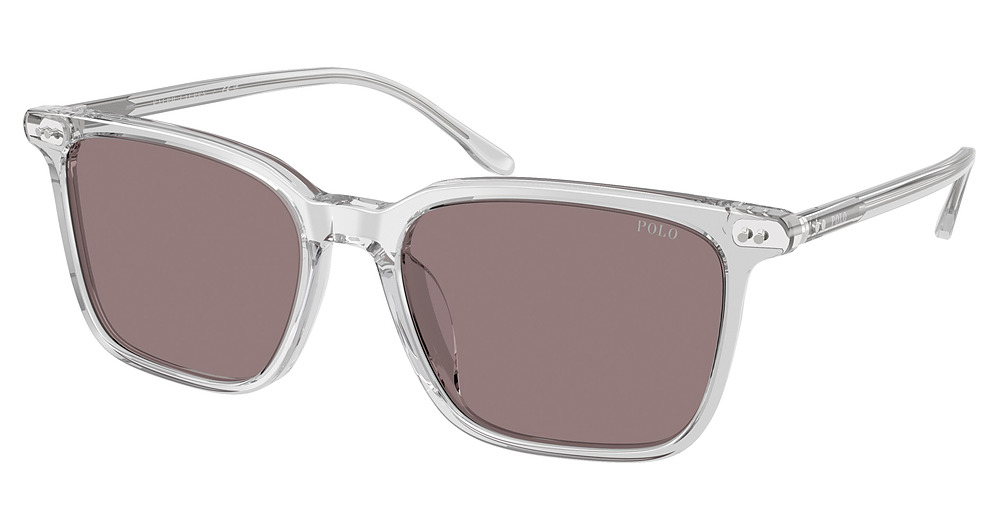 SHINY TRANSPARENT GREY / DARK PURPLE
