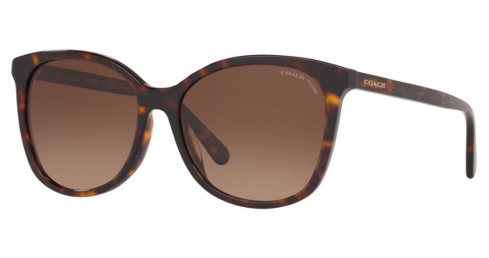 DARK TORTOISE / Dark Brown Gradient POLAR