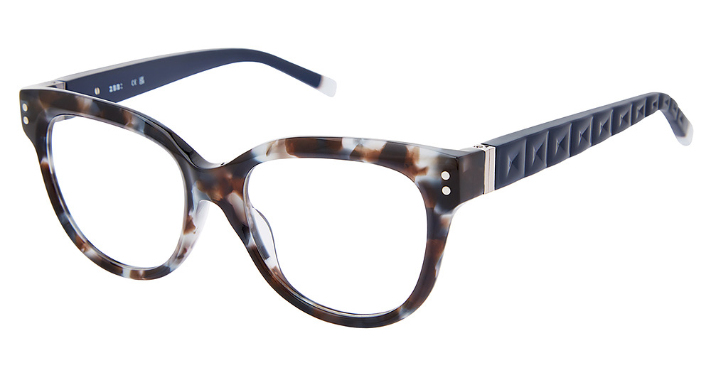 BROWN-TEAL TORTOISE