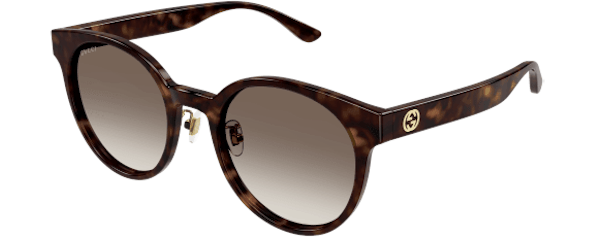 HAVANA / BROWN