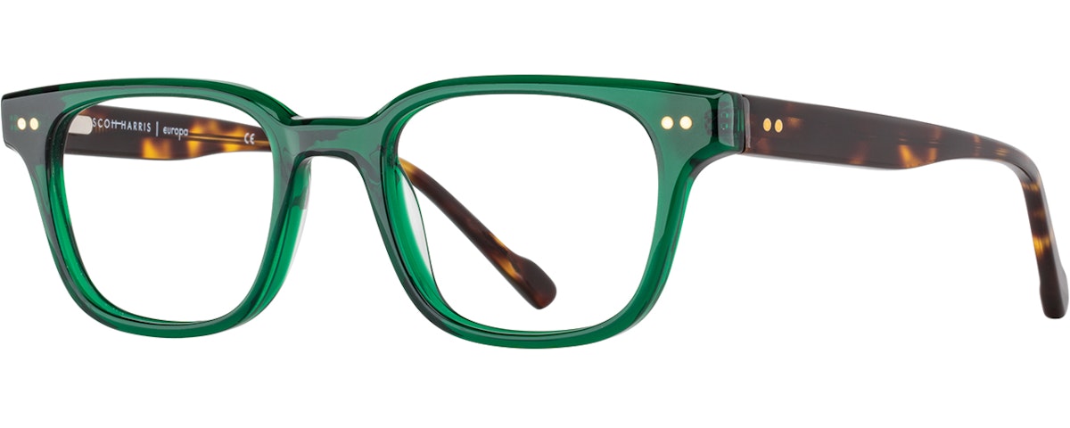 Green / Tortoise