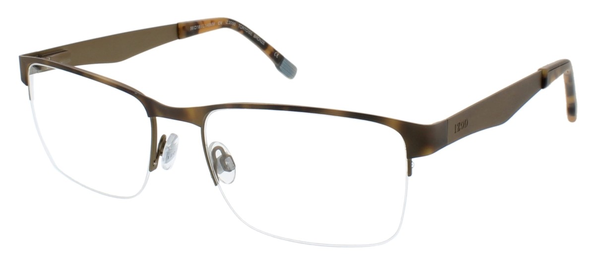 TORTOISE BRONZE