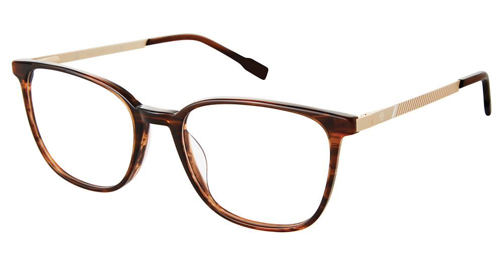 TORTOISE/GOLD
