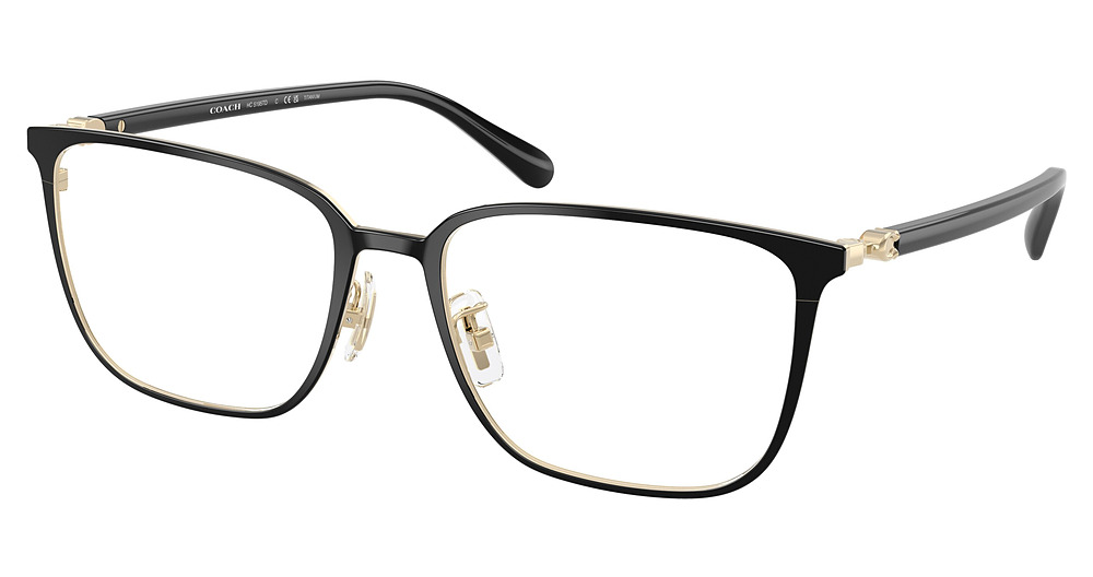 SHINY BLACK / LIGHT GOLD