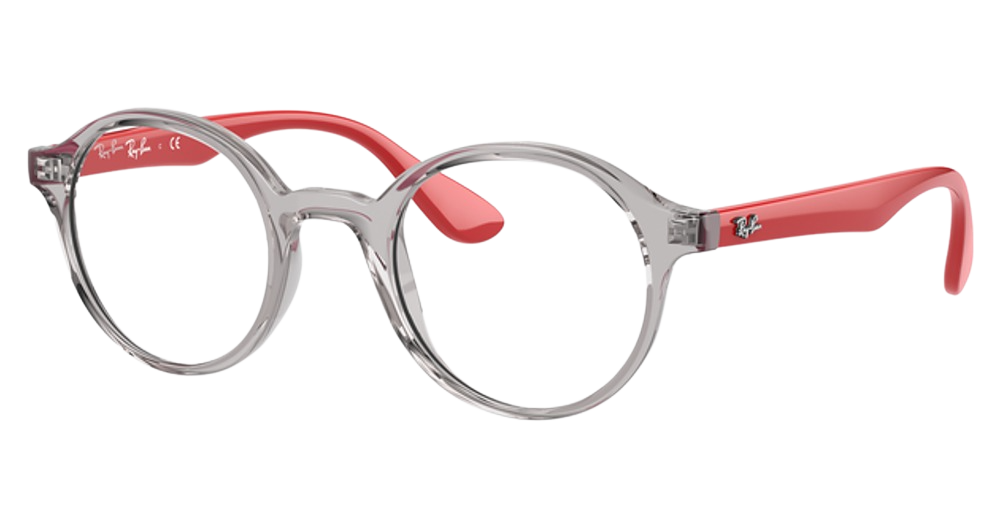 Ray-Ban RY1561 round eyeglasses in Trasparent Grey