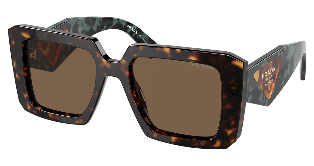 TORTOISE / DARK BROWN