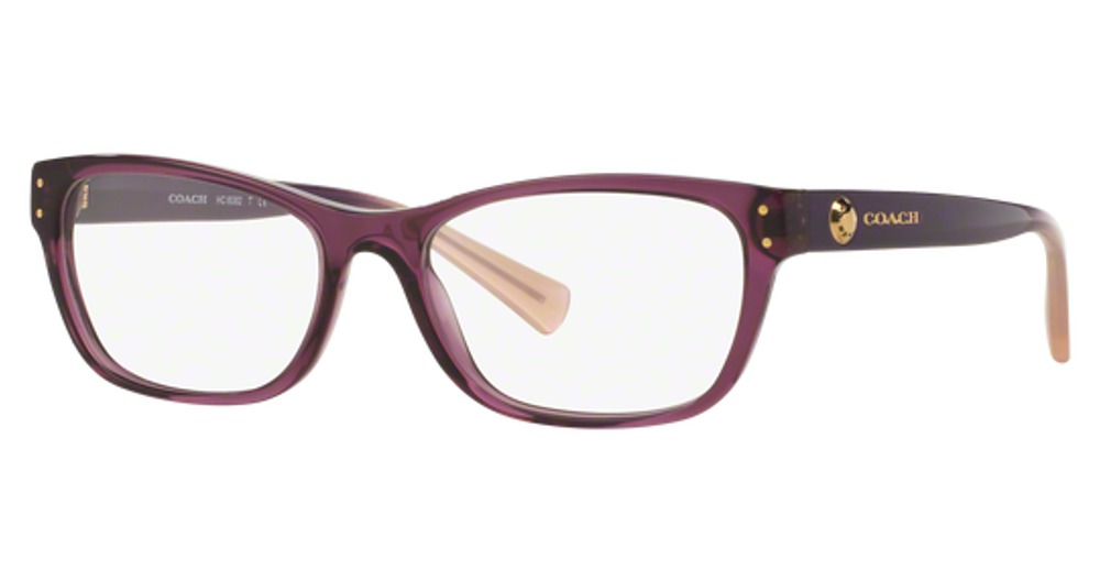 TRANSPARENT PURPLE