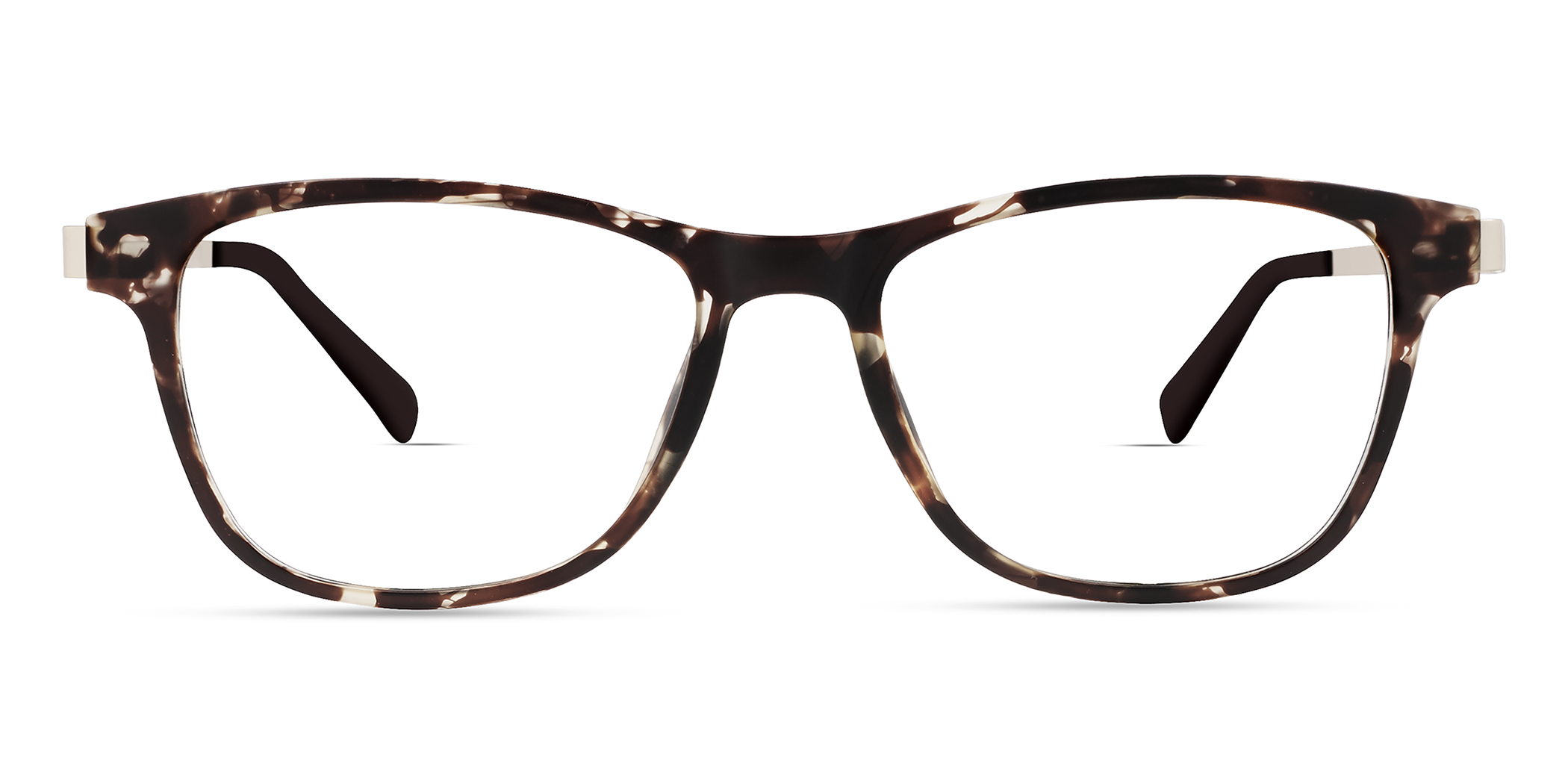 New Tortoise