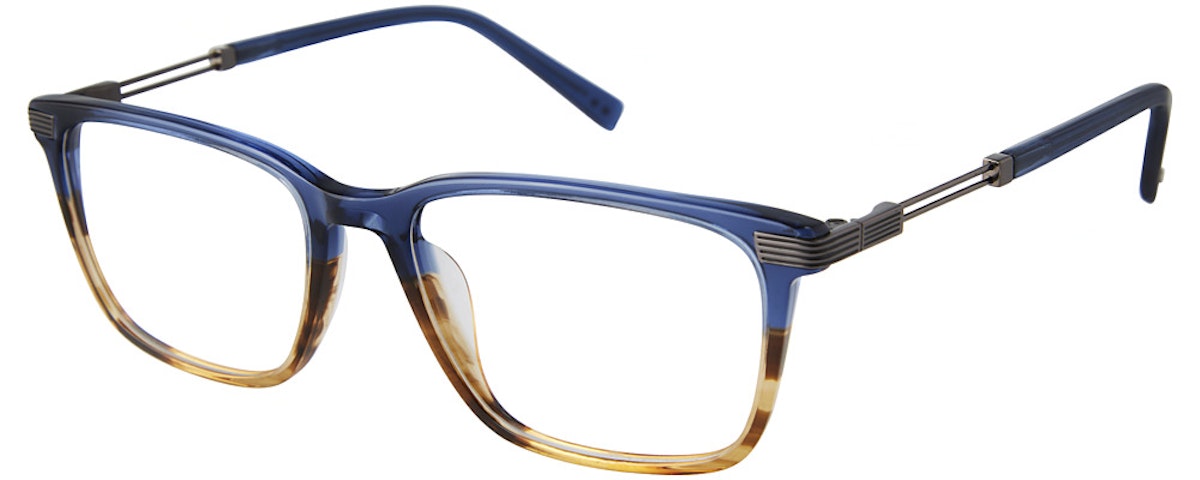 BLUE TORTIOSE