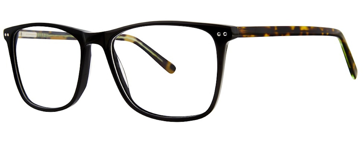 black/tortoise