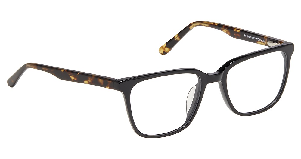 Black Tortoise