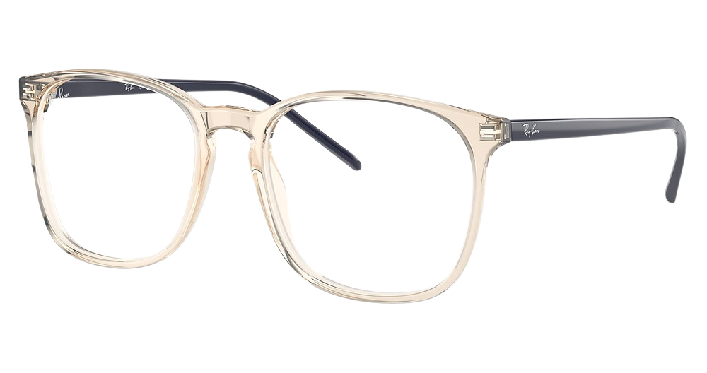 Ray-Ban RX5387 round eyeglasses in Transparent Light Brown