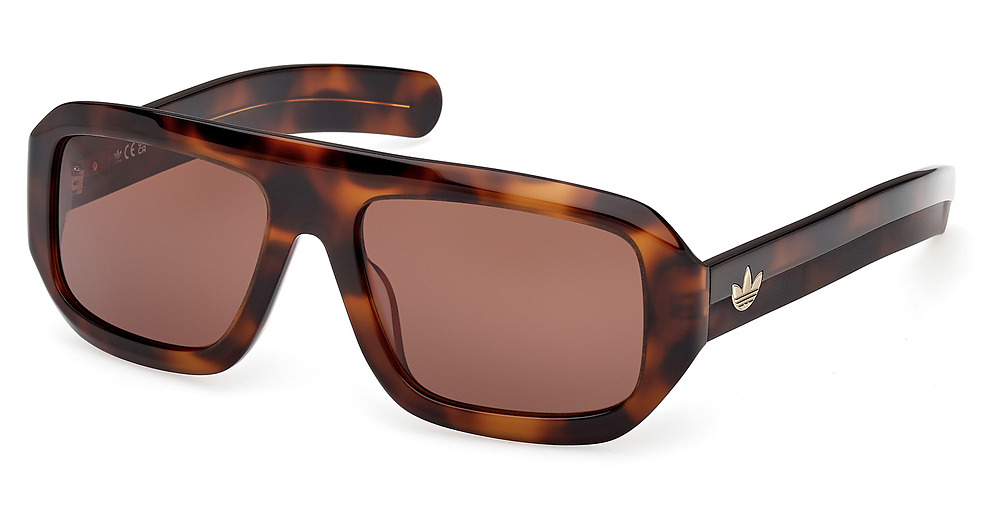 dark havana / brown