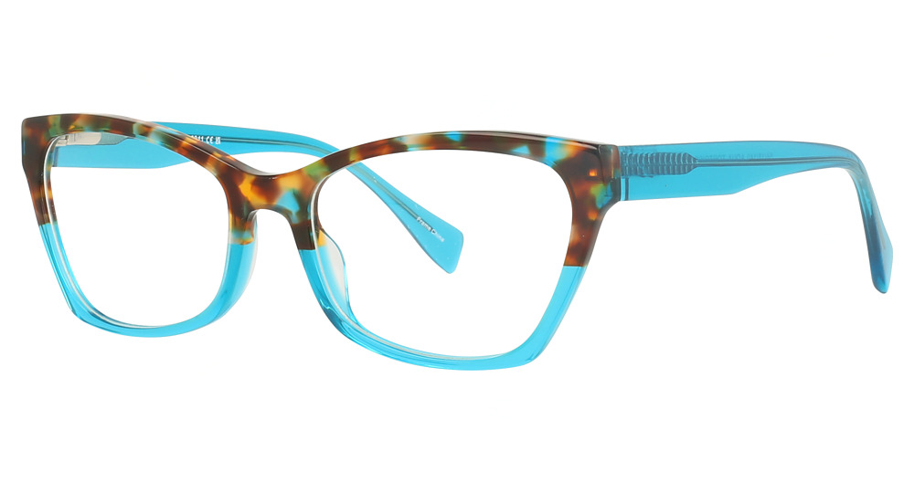 Aqua Tortoise