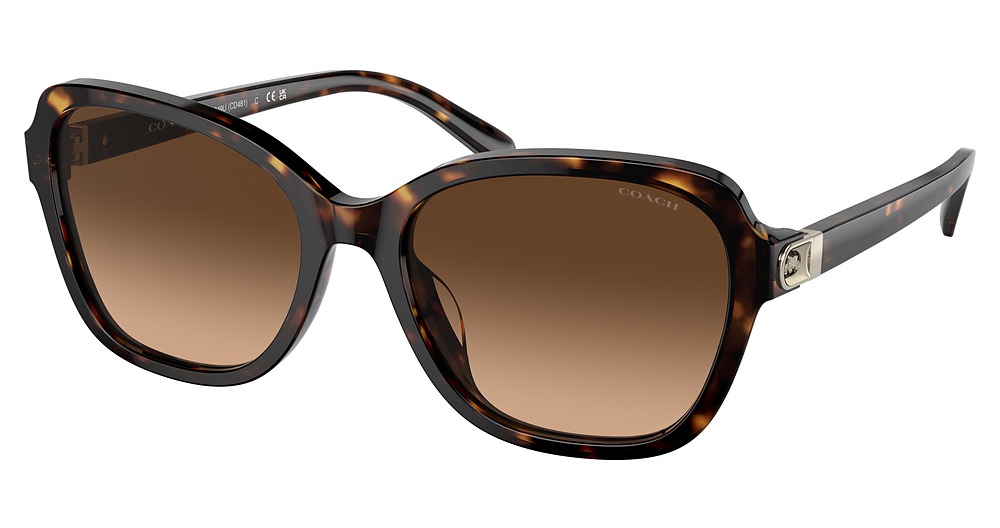 DARK TORTOISE / BROWN GRADIENT