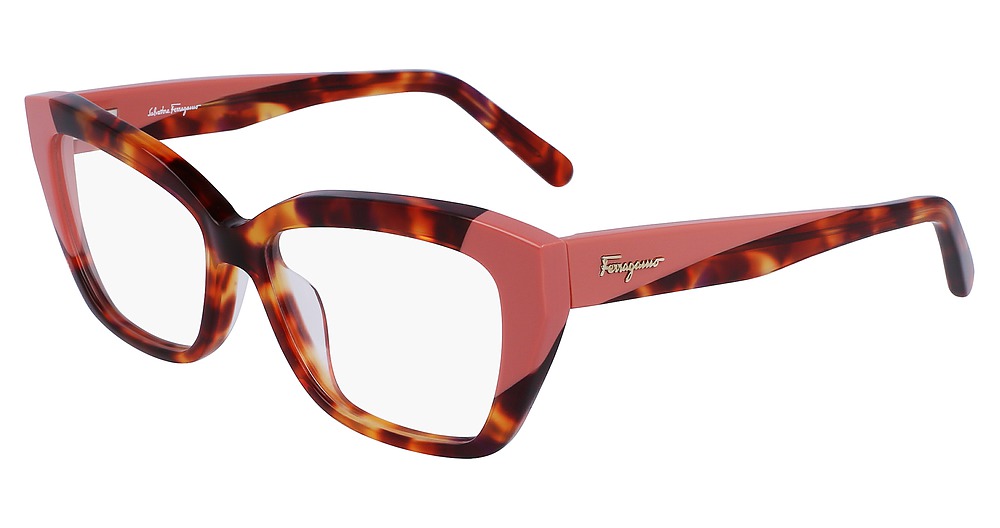 RED TORTOISE/ROSE