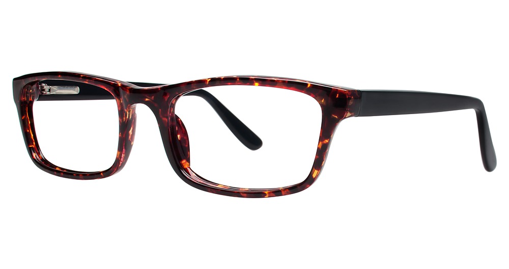 tortoise/black