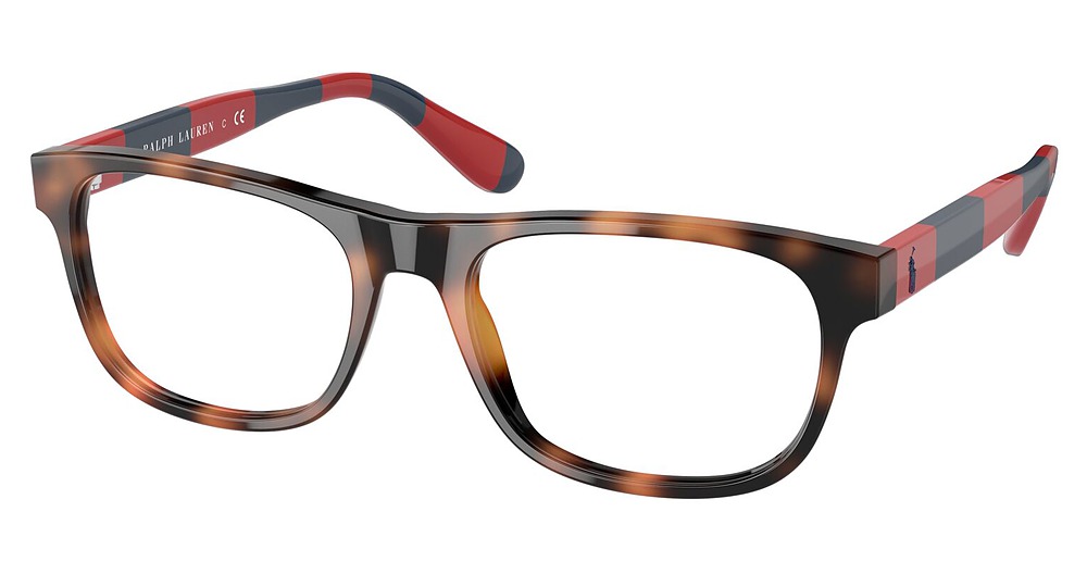SHINY JC TORTOISE