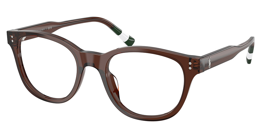 SHINY TRANSPARENT BROWN