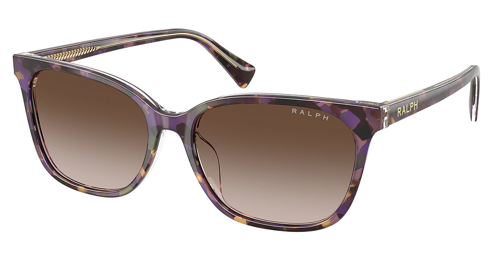 VIOLET HAVANA ON TRASPAR / GRADIENT BROWN