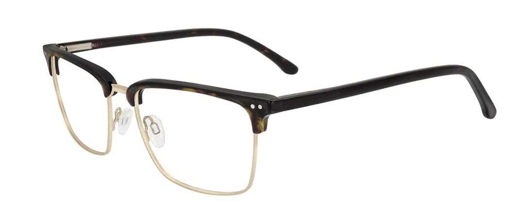 Tortoise/Gold
