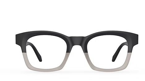 BLACK CAMEL TORTOISE