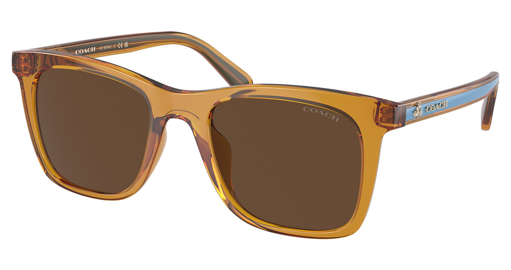 TRANSPARENT BUTTERCUP / BROWN SOLID