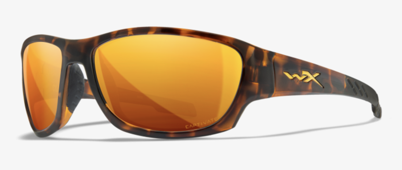 GLOSS TORTOISE / CAPTIVATE POL BRONZE MIRROR