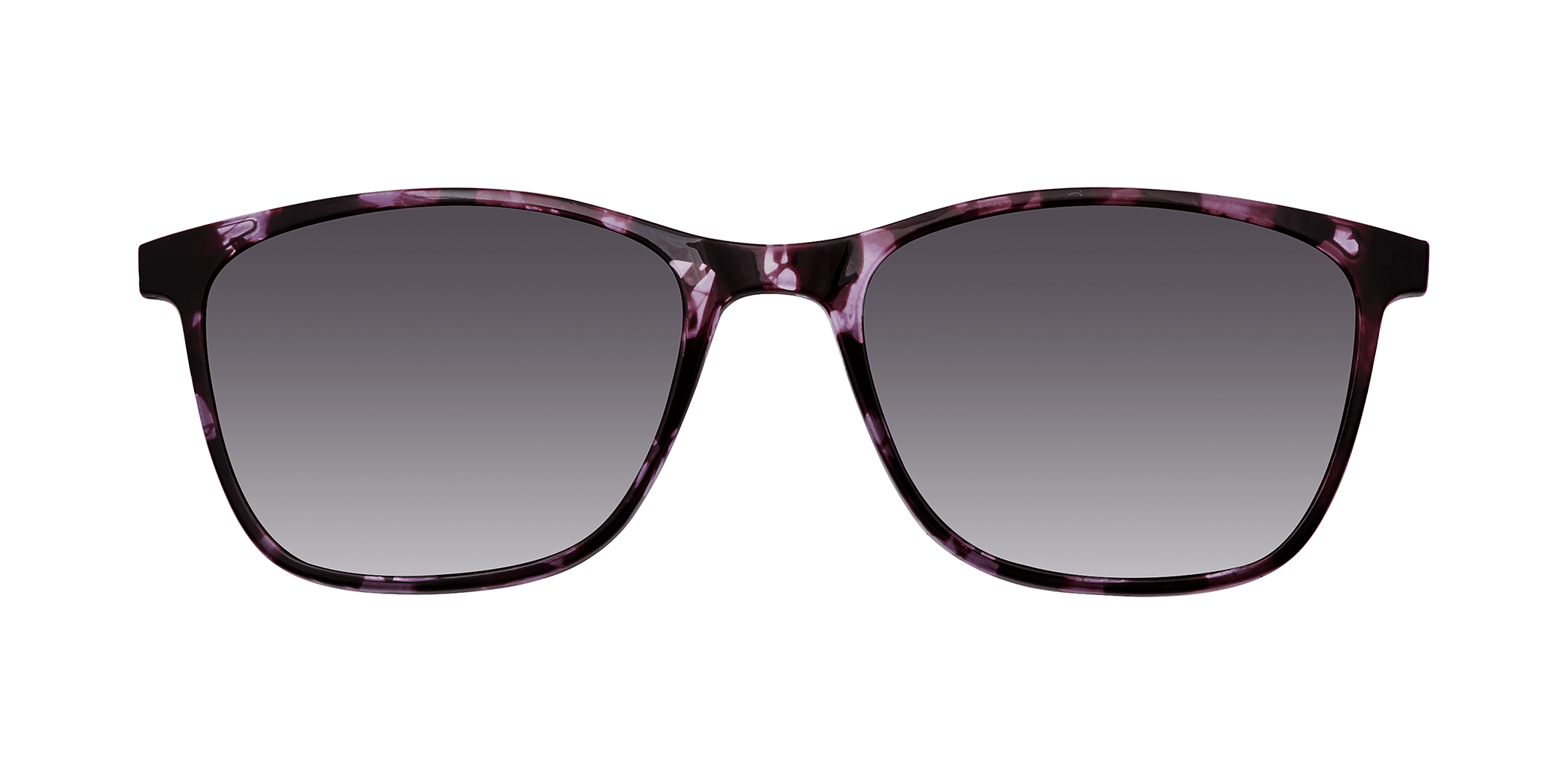 PURPLE / TORTOISE