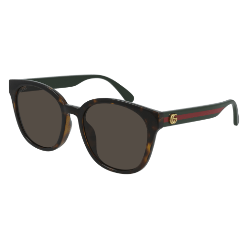 Gucci GG0855SK round sunglasses in Havana Green Brown/Brown