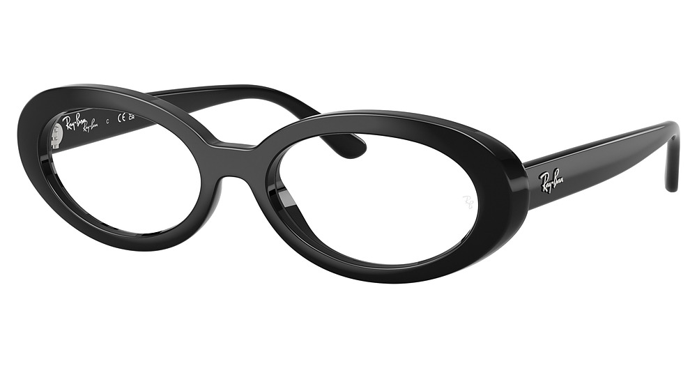 Ray-Ban RX2223VF round eyeglasses in Black