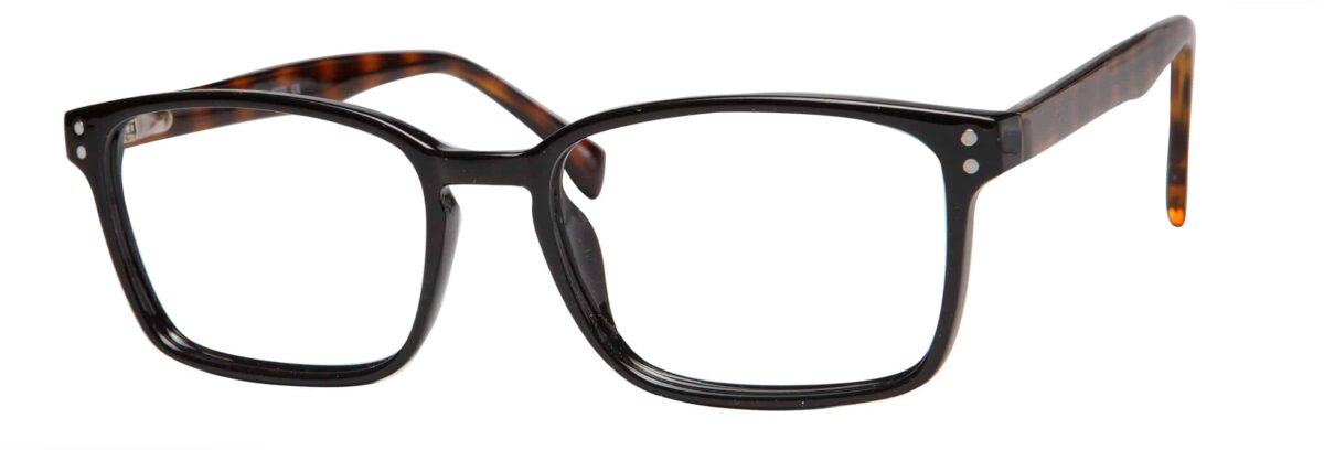 Black/Tortoise