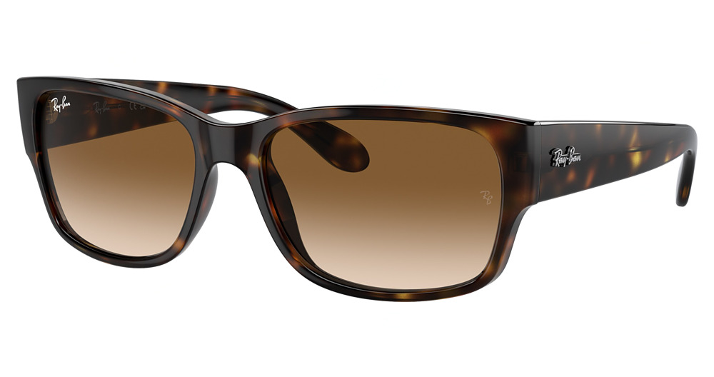 Ray-Ban RB4388 round sunglasses in Havana/Clear Gradient Brown
