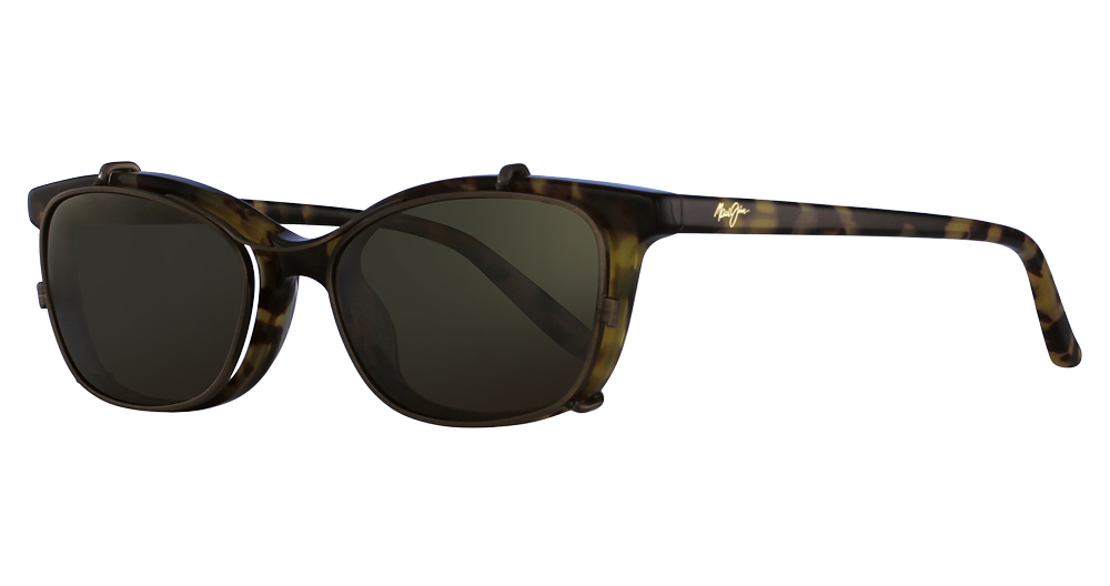Tokyo Tortoise
