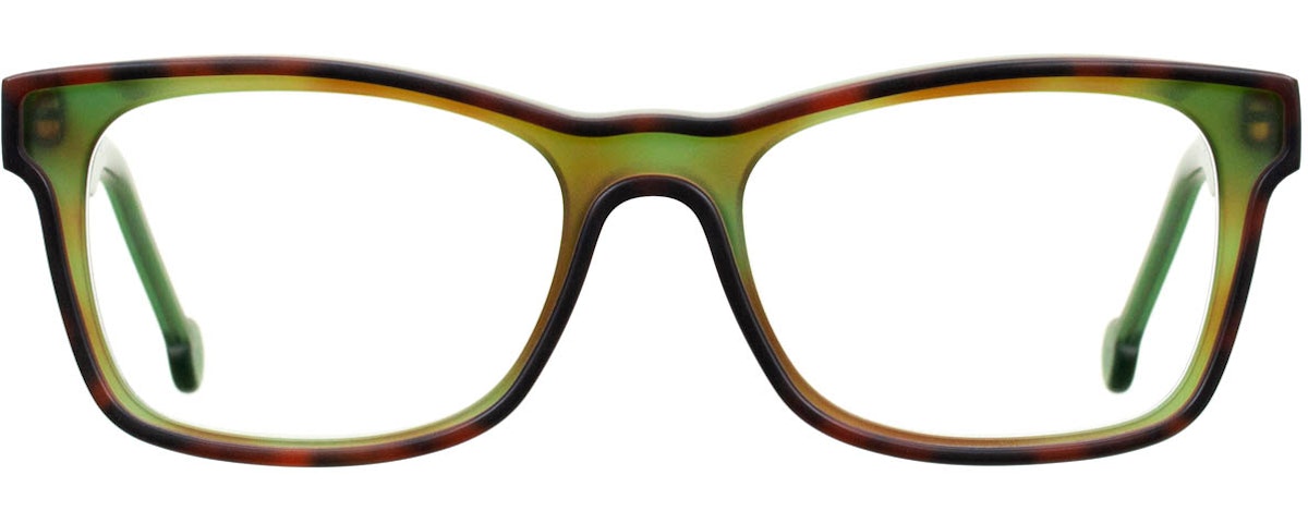 Green Back Tortoise