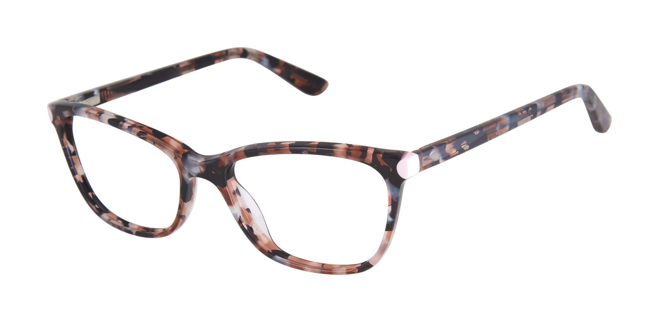 Brown Rose Tortoise