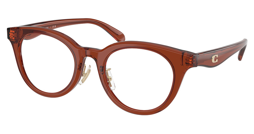 TRANSPARENT BROWN