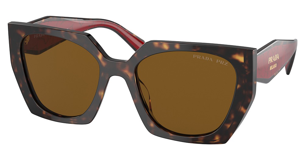 TORTOISE / DARK BROWN POLAR