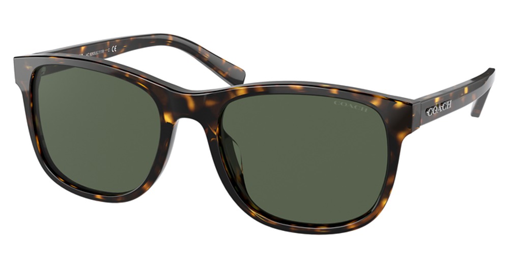 DARK TORTOISE / DARK GREEN