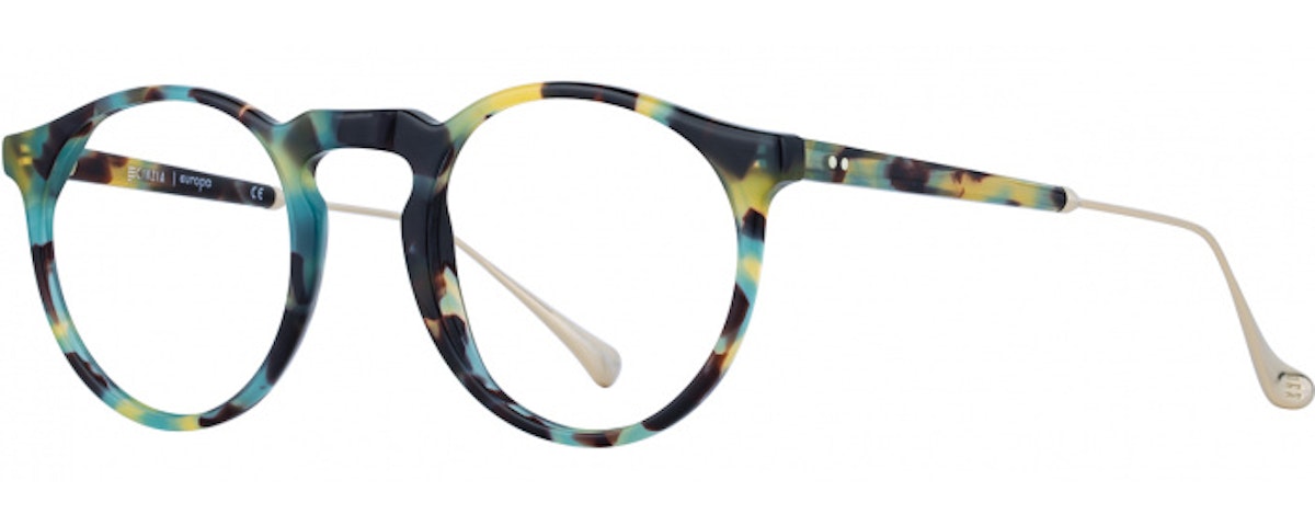 Teal Tortoise/Gold