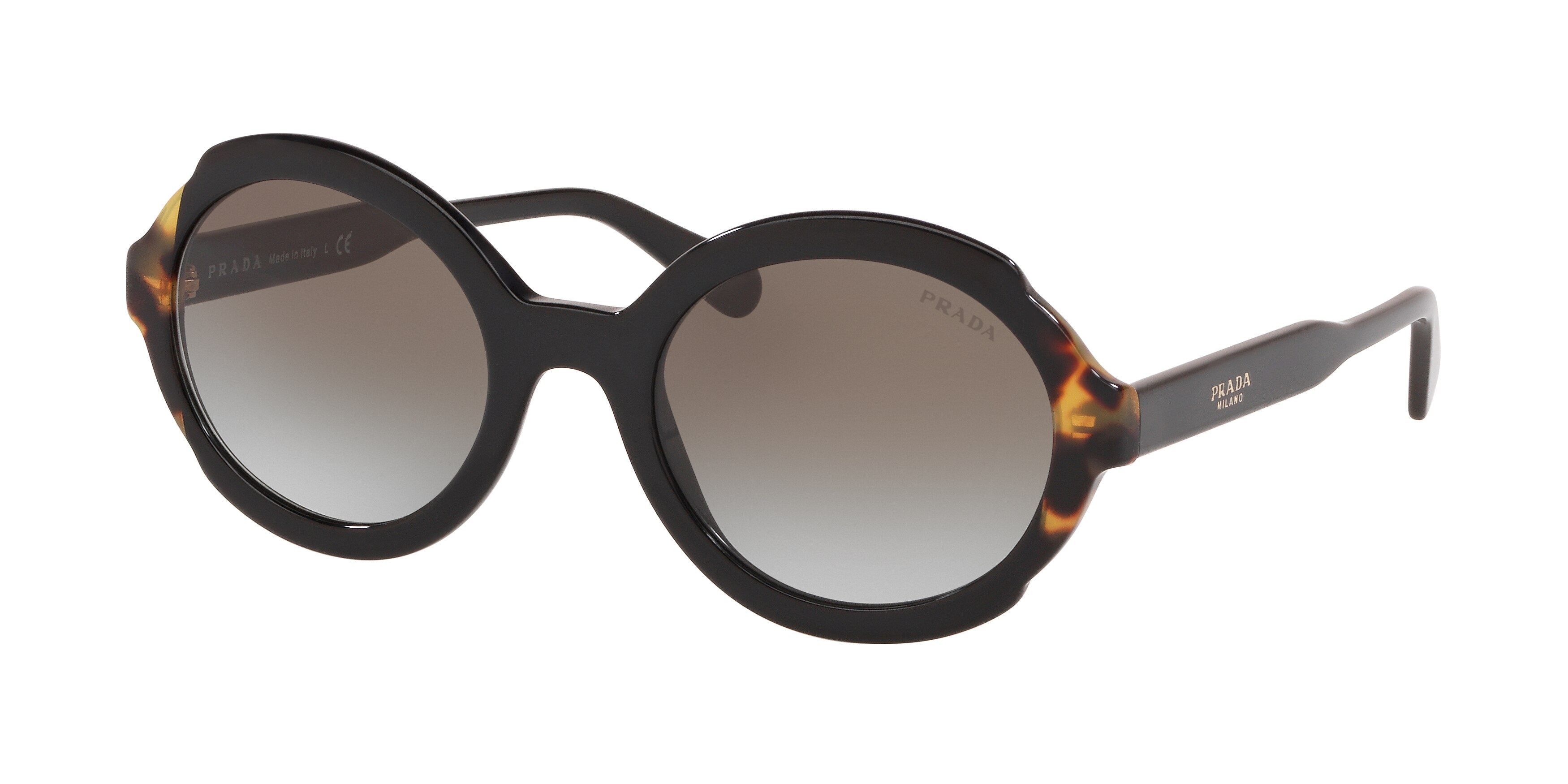 BLACK/MEDIUM HAVANA