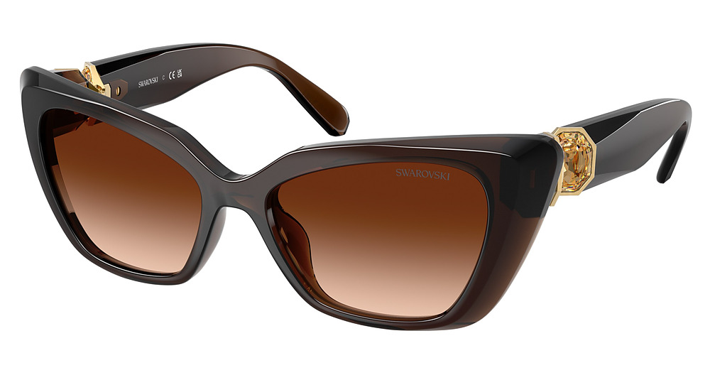 TRANSPARENT BROWN / BROWN GRADIENT