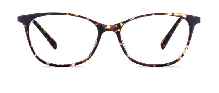 Tokyo Tortoise