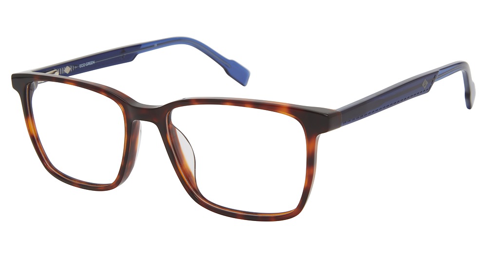 TORTOISE/NAVY