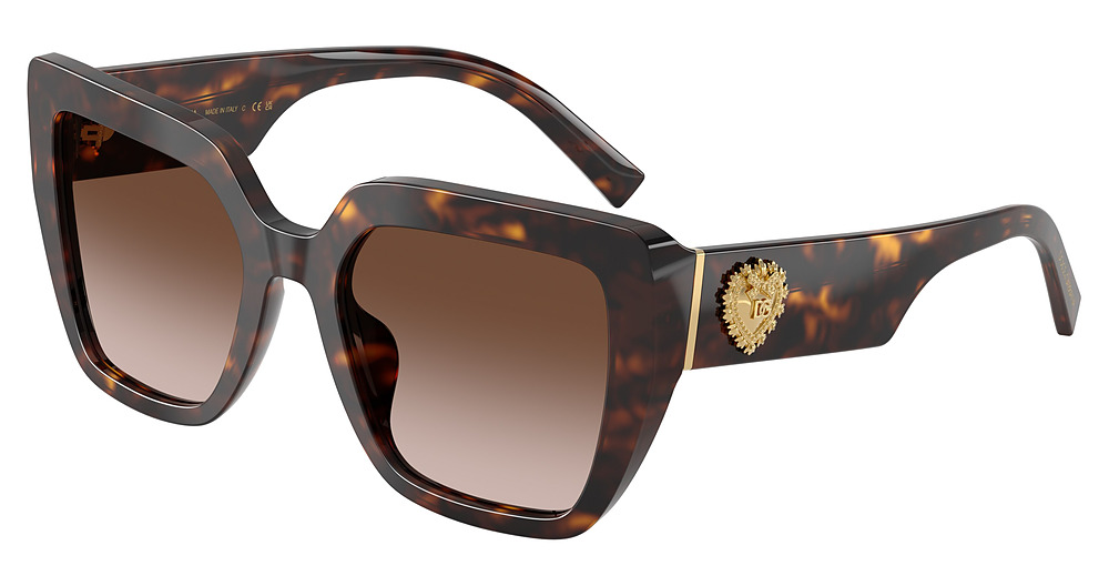 HAVANA / GRADIENT BROWN