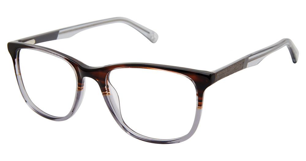 Tortoise/Gray